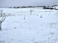 Продава ПАРЦЕЛ, град Перник, Изток • 240000 € • 46968410 — Holmes.bg