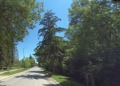 Продава ПАРЦЕЛ, гр. София, гр. Банкя, снимка 2