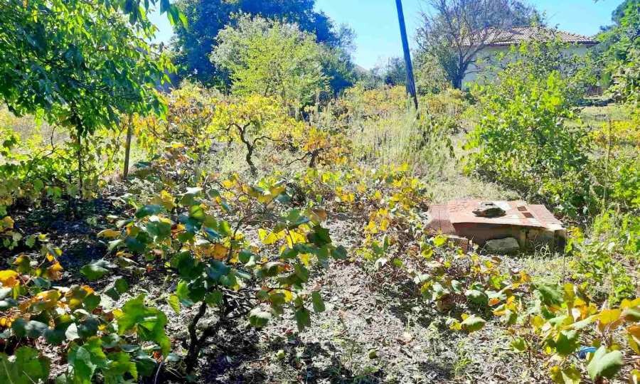 ������� ���� | Imot.bg � ����������� 13