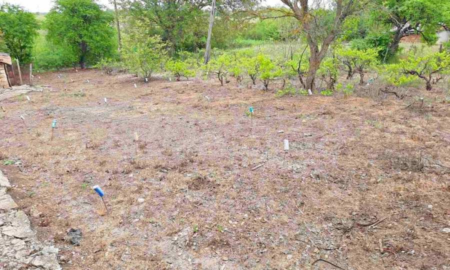 ������� ���� | Imot.bg � ����������� 11