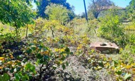 ������� ���� | Imot.bg � ����� ������ 13