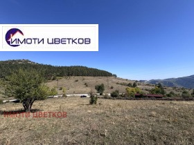 ����� ������� ������,�. ���������, ������ �����