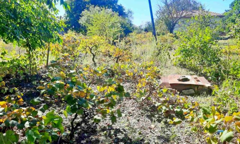 Продава КЪЩА, с. Василево, област Добрич, снимка 13 - Къщи - 53356592