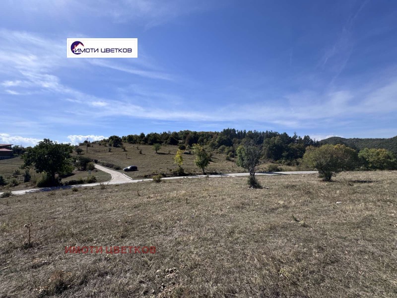 Продава ПАРЦЕЛ, с. Згориград, област Враца, снимка 3 - Парцели - 52163880