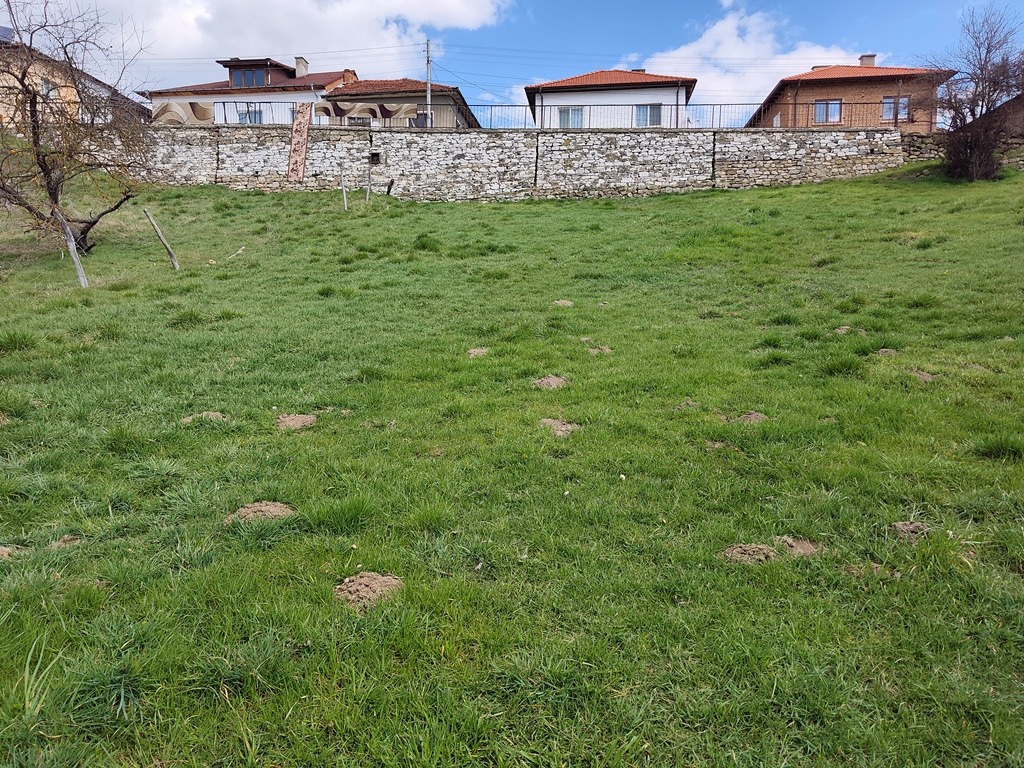 Продава ПАРЦЕЛ, с. Бачево, област Благоевград, снимка 10 - Парцели - 54921809
