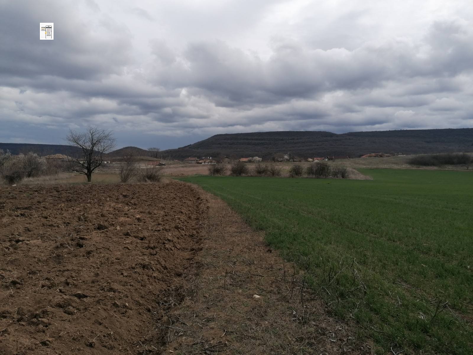 ������� ������ | Imot.bg � ����������� 8