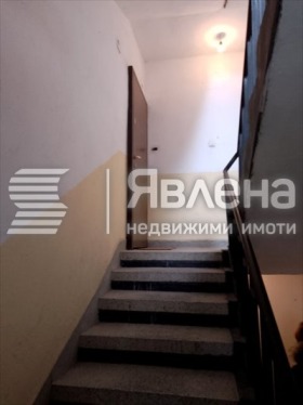 ����� ������� 3-�����,���� �����������, ������� ������