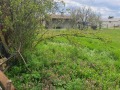 Продава ПАРЦЕЛ, с. Ветрино, област Варна, снимка 2