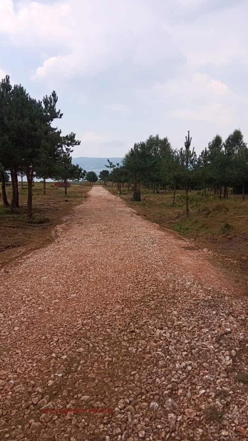 For Sale  Plot region Pazardzhik , yaz. Batak , 500 sq.m | 81541171 - image [10]