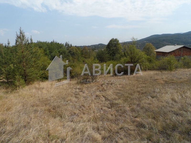 For Sale  Plot region Pernik , Divotino , 1200 sq.m | 39096702 - image [2]