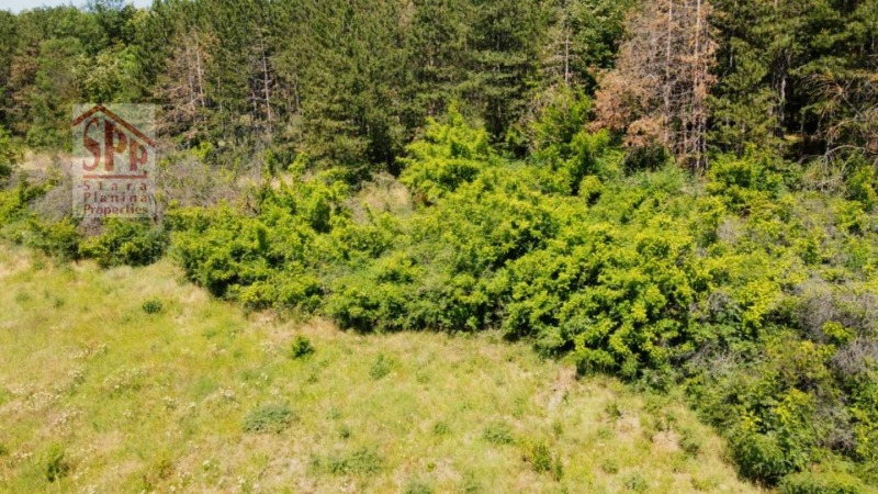 Продава  Парцел област Русе , с. Николово , 1036 кв.м | 54155593 - изображение [4]