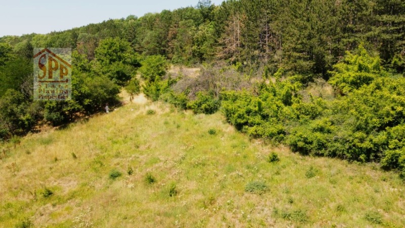 Продава  Парцел област Русе , с. Николово , 1036 кв.м | 54155593 - изображение [5]
