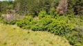Продава ПАРЦЕЛ, област Русе, с. Николово • 19500 € • 91156218 — Holmes.bg