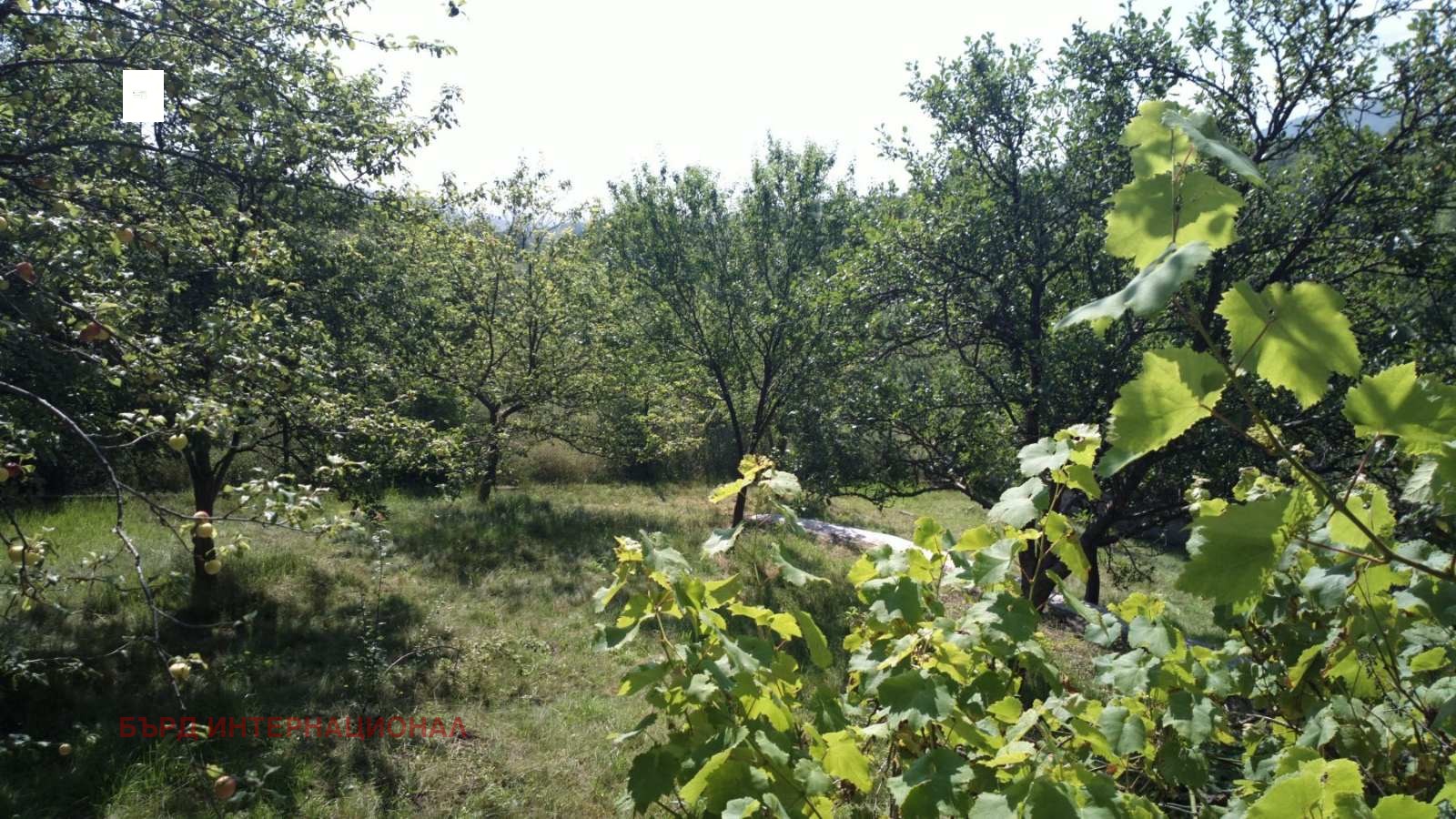 ������� ���� | Imot.bg � ����������� 8