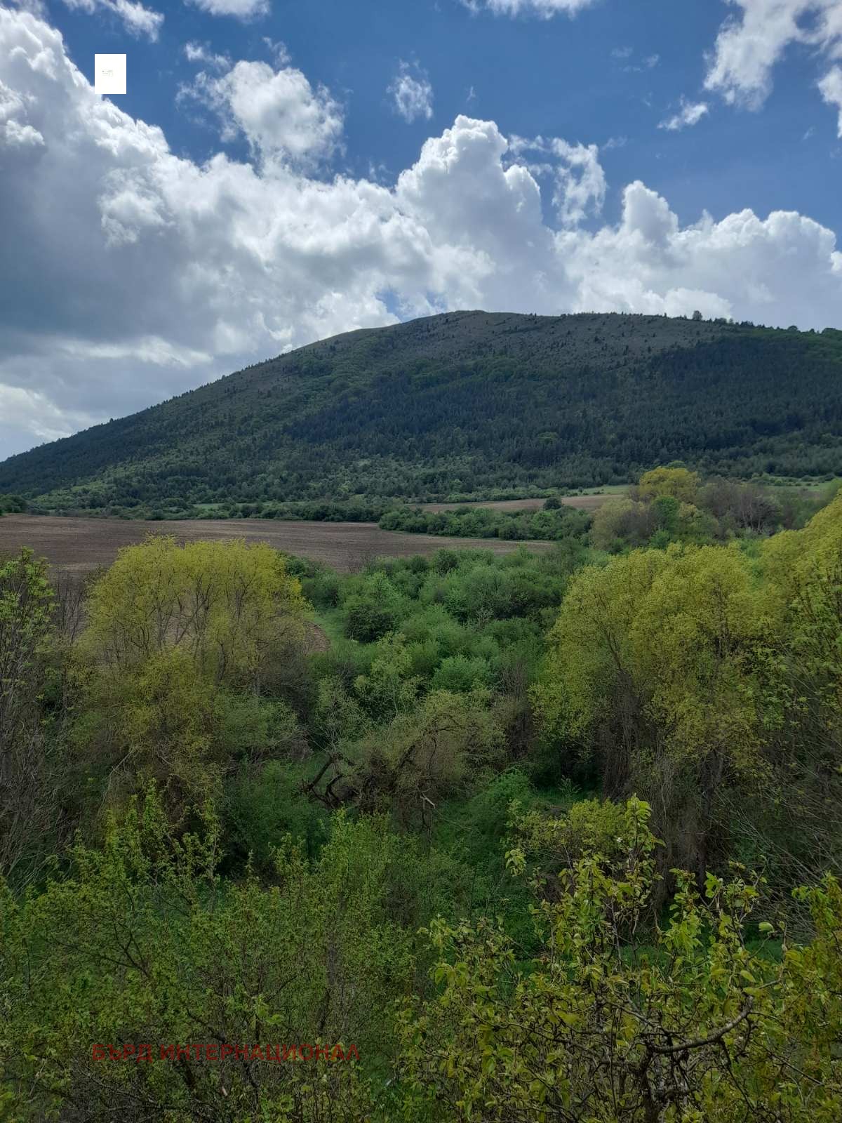 ������� ���� | Imot.bg � ����������� 9