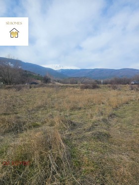 ����� ������� ������,���� �����, �. ��������