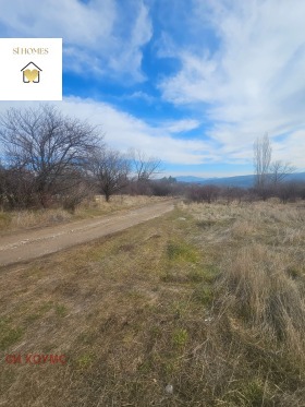 ����� ������� ������,���� �����, �. ��������