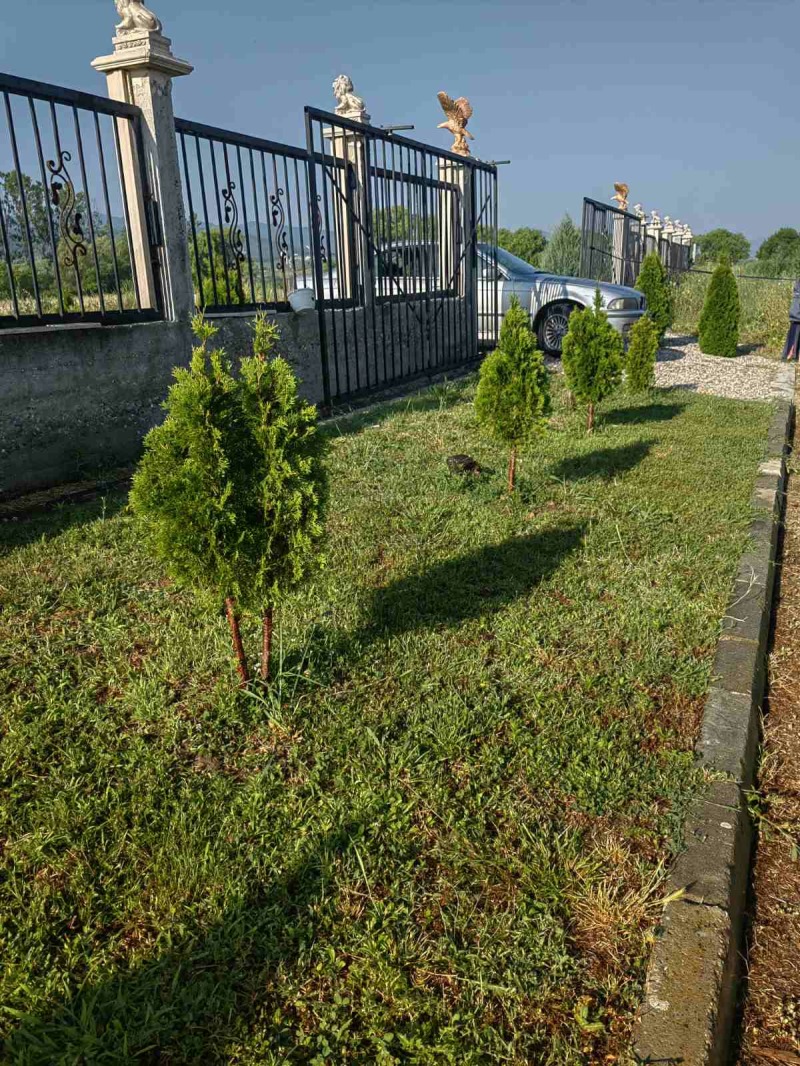 Продава ЗЕМЕДЕЛСКА ЗЕМЯ, с. Златитрап, област Пловдив, снимка 4 - Земеделска земя - 52748926