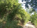 Продава ПАРЦЕЛ, град София, гр. Банкя • 35000 € • 19016920 — Holmes.bg