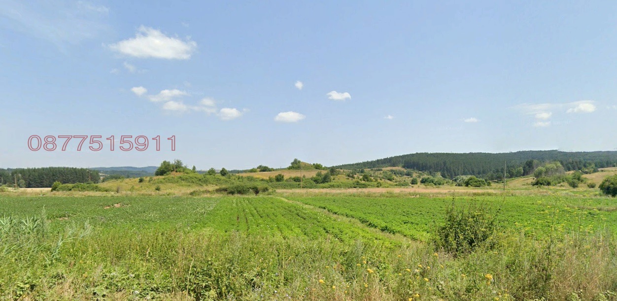 ������� ���������� ���� | Imot.bg � ����������� 3