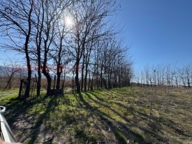 ������� ������ | Imot.bg � ����� ������ 6