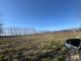 ������� ������ | Imot.bg � ����� ������ 5