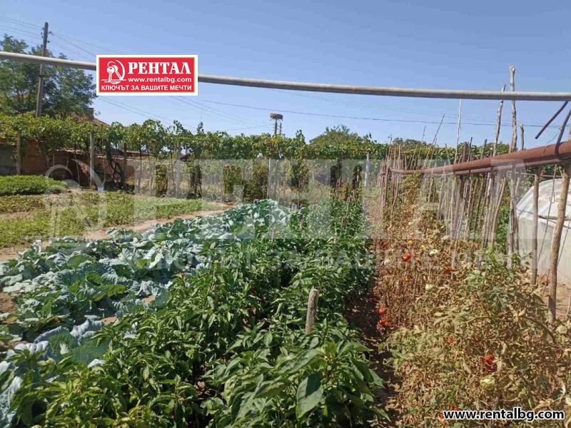 Продава  Къща област Пловдив , с. Чоба , 75 кв.м | 68837322 - изображение [4]