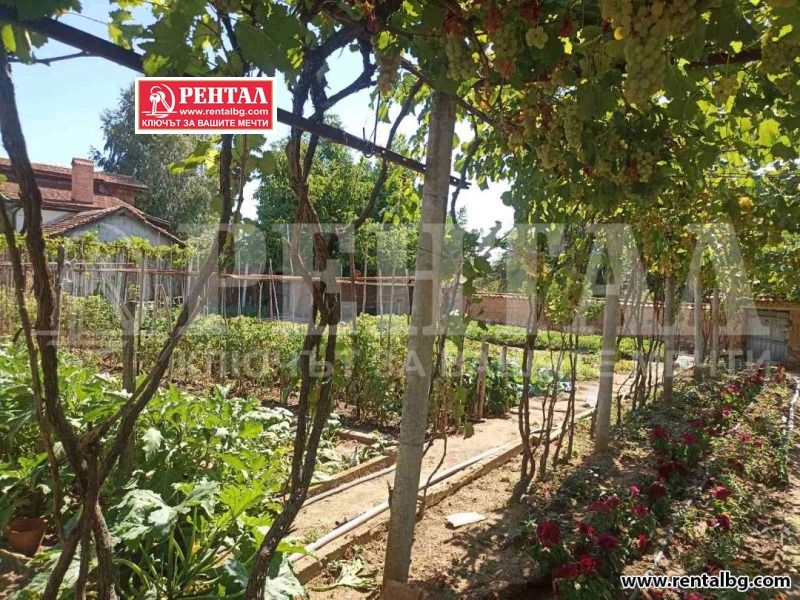 Продава  Къща област Пловдив , с. Чоба , 75 кв.м | 68837322 - изображение [12]