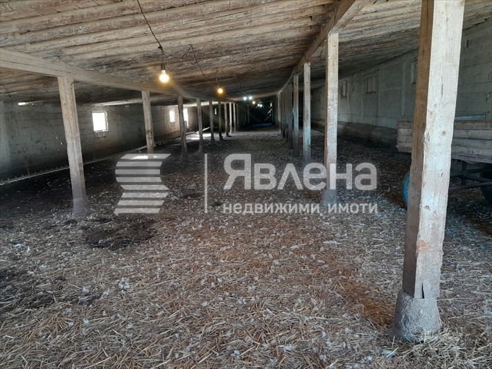 Продава ПРОМ. ПОМЕЩЕНИЕ, с. Чоба, област Пловдив, снимка 6 - Производствени сгради - 53613382