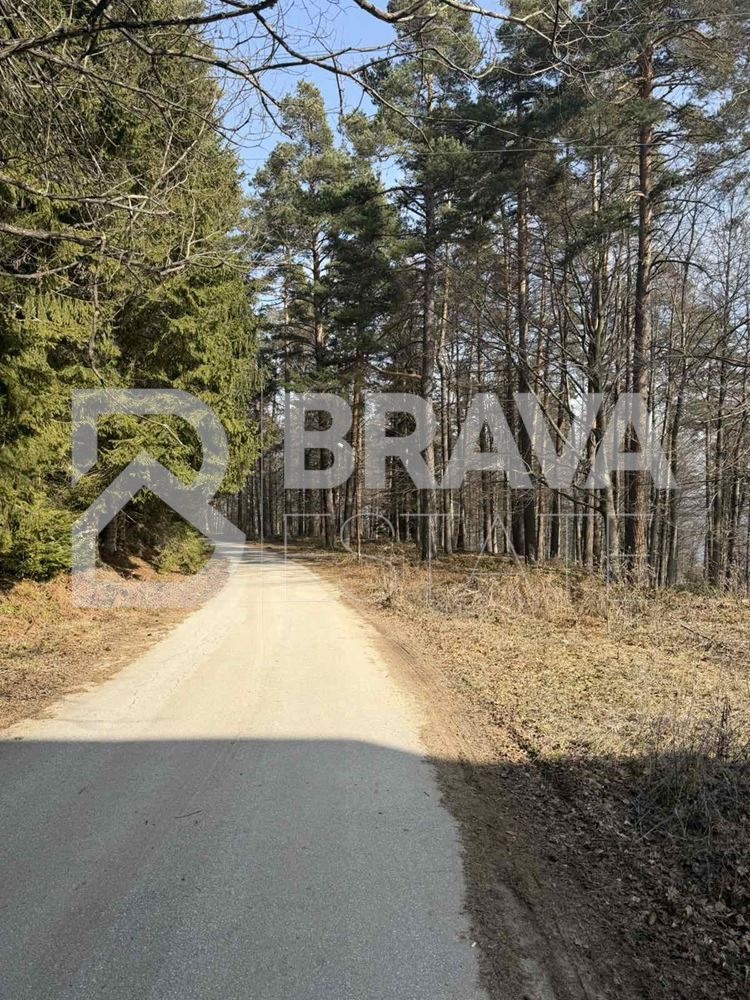 Продава ХОТЕЛ, гр. Пещера, област Пазарджик, снимка 12 - Хотели - 54054810