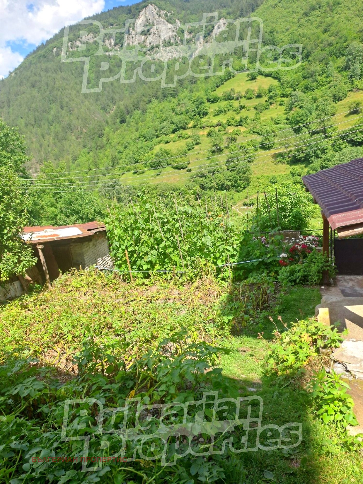 Продава КЪЩА, с. Дряново, област Пловдив, снимка 6 - Къщи - 55288779