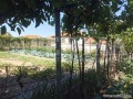 Продава КЪЩА, област Пловдив, с. Чоба • 39900 лв. • 54170090 — Holmes.bg