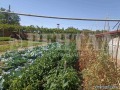 Продава КЪЩА, област Пловдив, с. Чоба • 39900 лв. • 54170090 — Holmes.bg