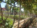Продава КЪЩА, област Пловдив, с. Чоба • 39900 лв. • 54170090 — Holmes.bg