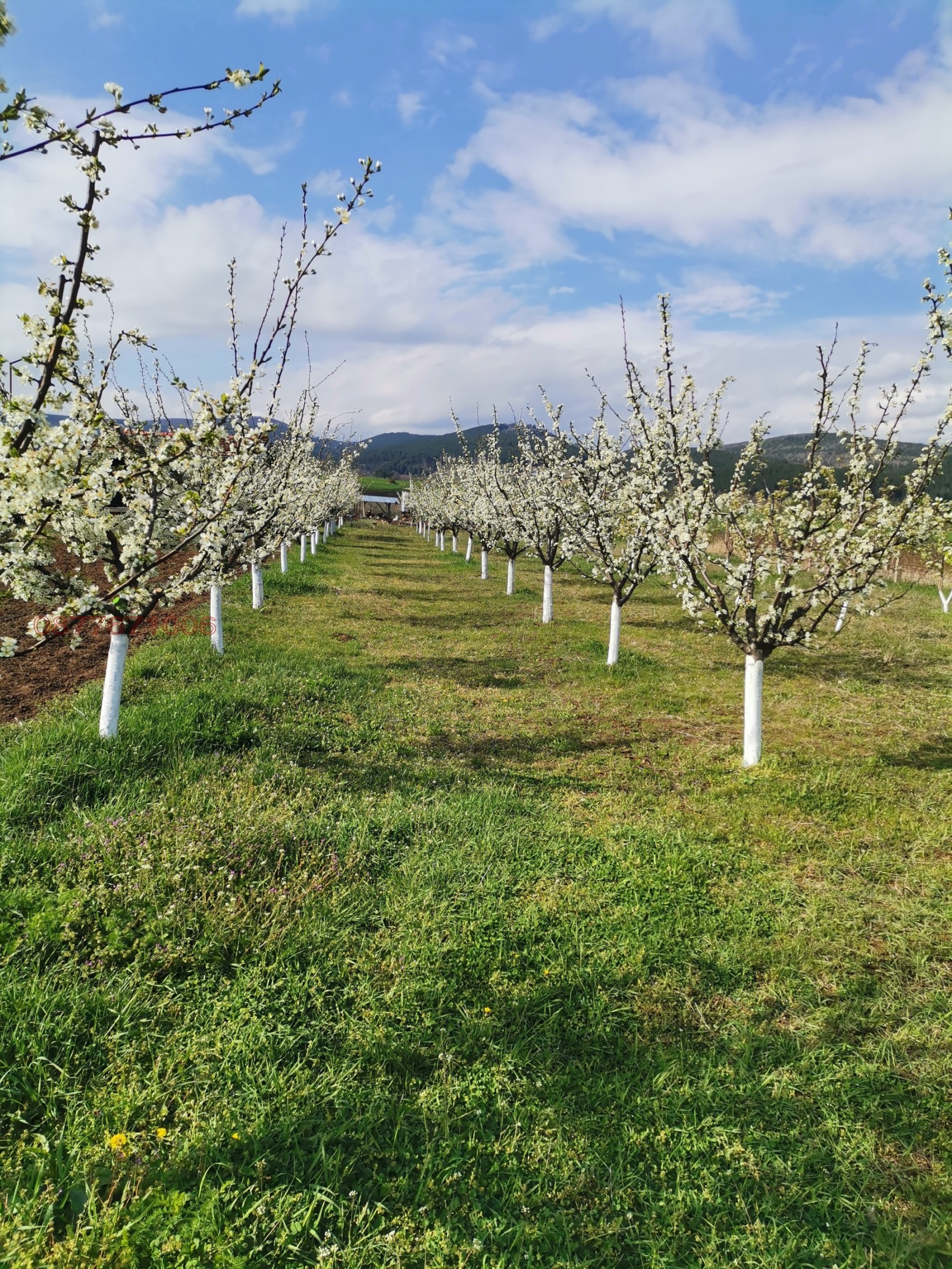 ������� ����� | Imot.bg � ����������� 4