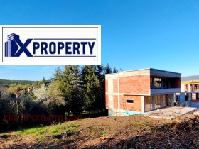 ����� ������� ����,���� ������, �����