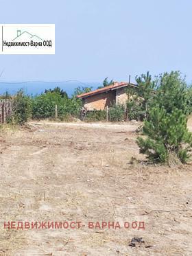 ������ ������� ������