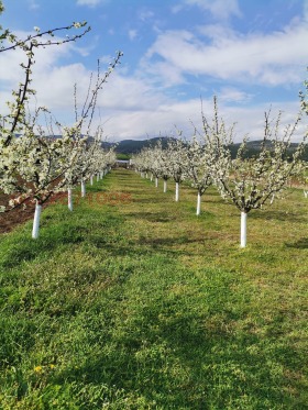 ������� ����� | Imot.bg � ����� ������ 4