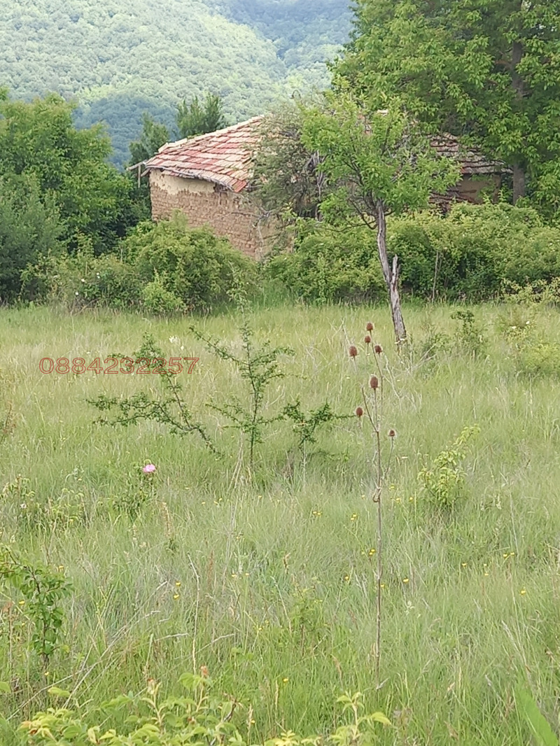 En venta  Casa región Veliko Tarnovo , Lyubentsi , 60 metros cuadrados | 16005472