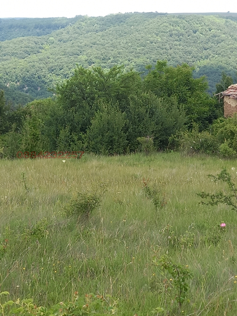 En venta  Casa región Veliko Tarnovo , Lyubentsi , 60 metros cuadrados | 16005472 - imagen [2]