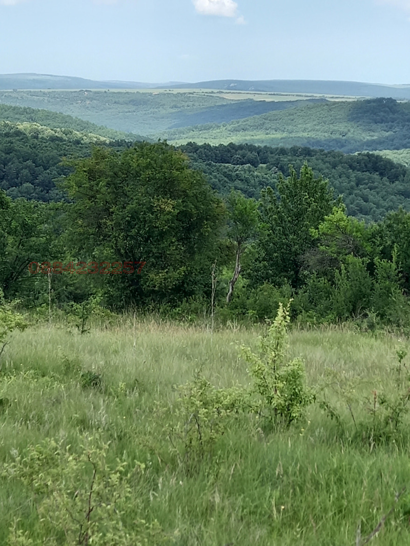 En venta  Casa región Veliko Tarnovo , Lyubentsi , 60 metros cuadrados | 16005472 - imagen [4]