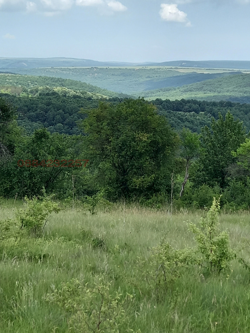 En venta  Casa región Veliko Tarnovo , Lyubentsi , 60 metros cuadrados | 16005472 - imagen [5]
