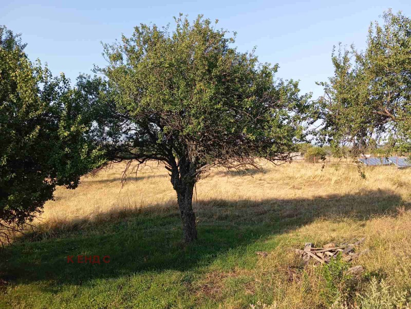Продаја  Земљиште регион Софиа , Хераково , 4.129 дка | 77909199 - слика [3]