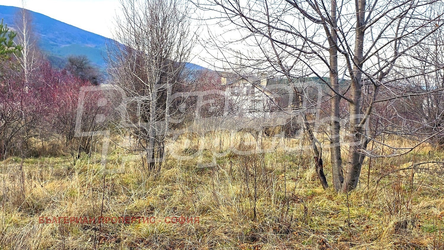 Продава ПАРЦЕЛ, гр. София, с. Железница, снимка 3 - Парцели - 56123217