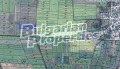 Продава ЗЕМЕДЕЛСКА ЗЕМЯ, с. Петърч, област София област, снимка 4
