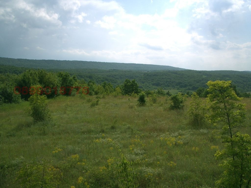 ������� ���������� ���� | Imot.bg � ����������� 3