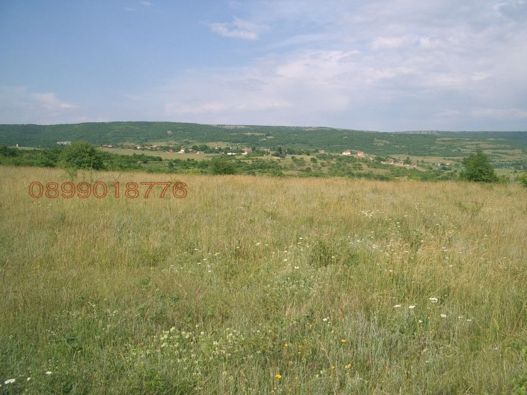 Продава ЗЕМЕДЕЛСКА ЗЕМЯ, с. Църква, област Добрич, снимка 4 - Земеделска земя - 54265731