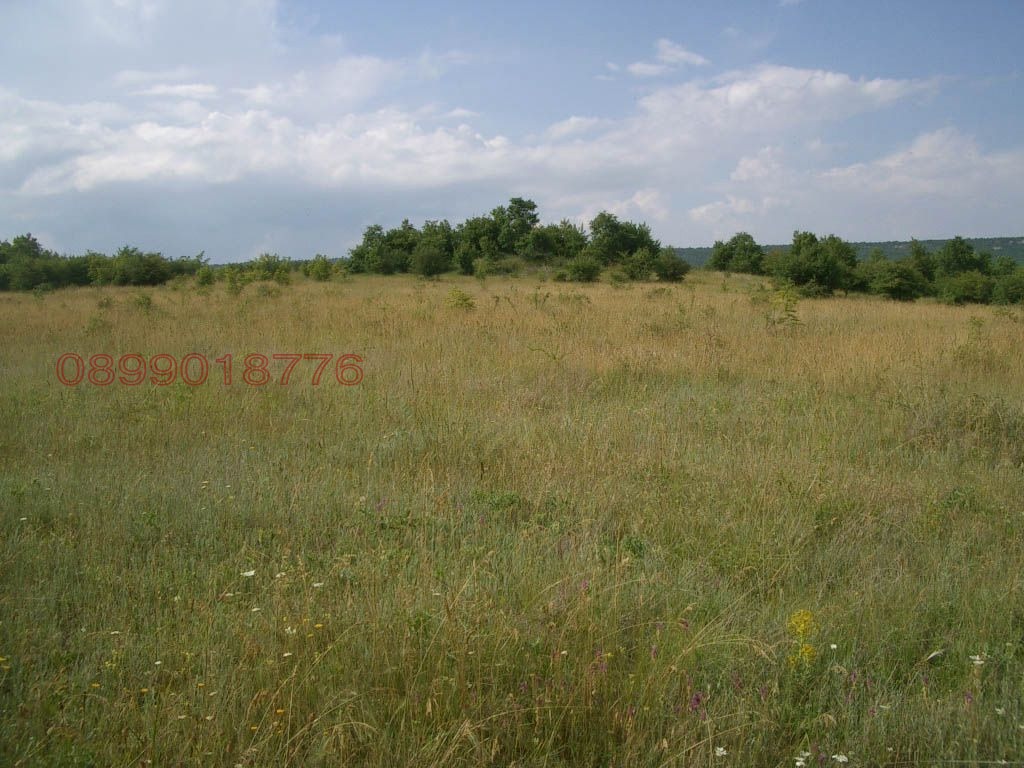 Продава ЗЕМЕДЕЛСКА ЗЕМЯ, с. Църква, област Добрич, снимка 2 - Земеделска земя - 54265731