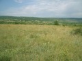 Продава ЗЕМЕДЕЛСКА ЗЕМЯ, с. Църква, област Добрич, снимка 5