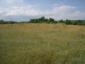 Продава ЗЕМЕДЕЛСКА ЗЕМЯ, с. Църква, област Добрич, снимка 2
